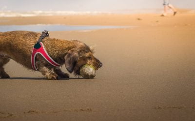 5 fasen van rouw na een scheiding