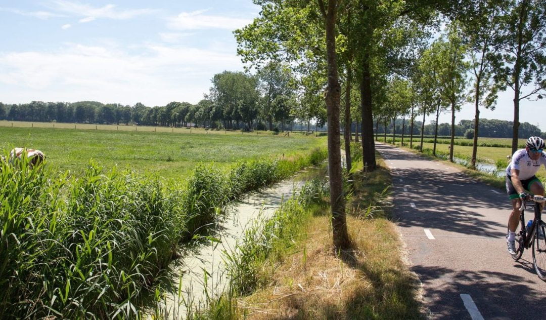 Videoserie Wet Bestuur en Toezicht voor Rechtspersonen (WBTR)